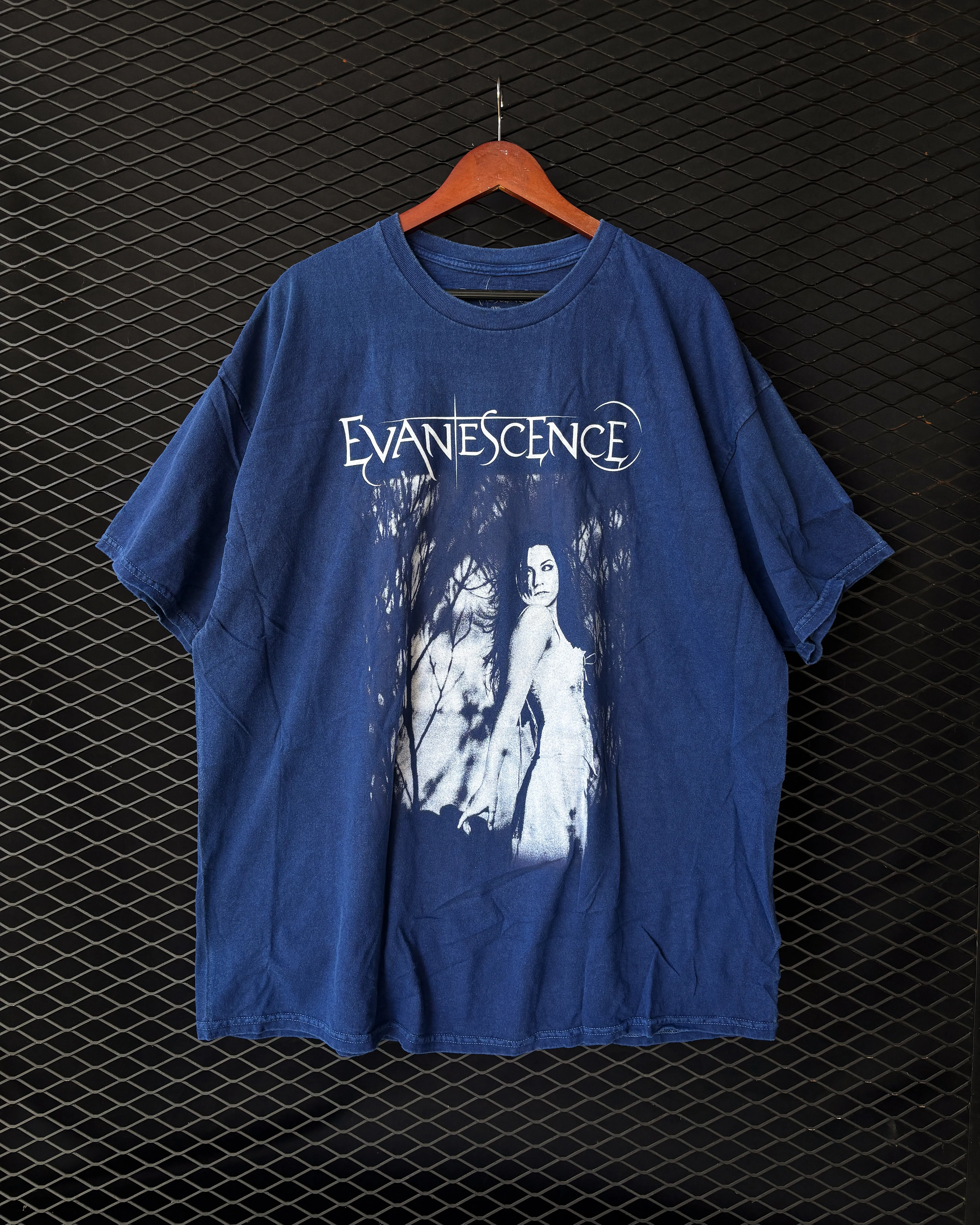 Evanescence - Amy Lee Forest