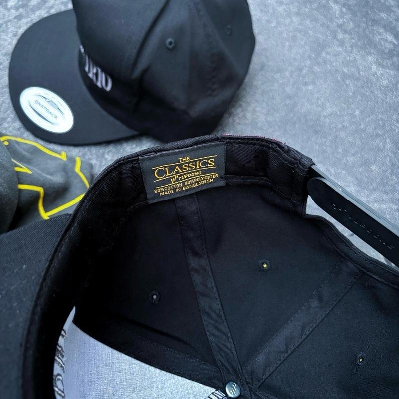 alkaline trio embroidered logo snapback cap