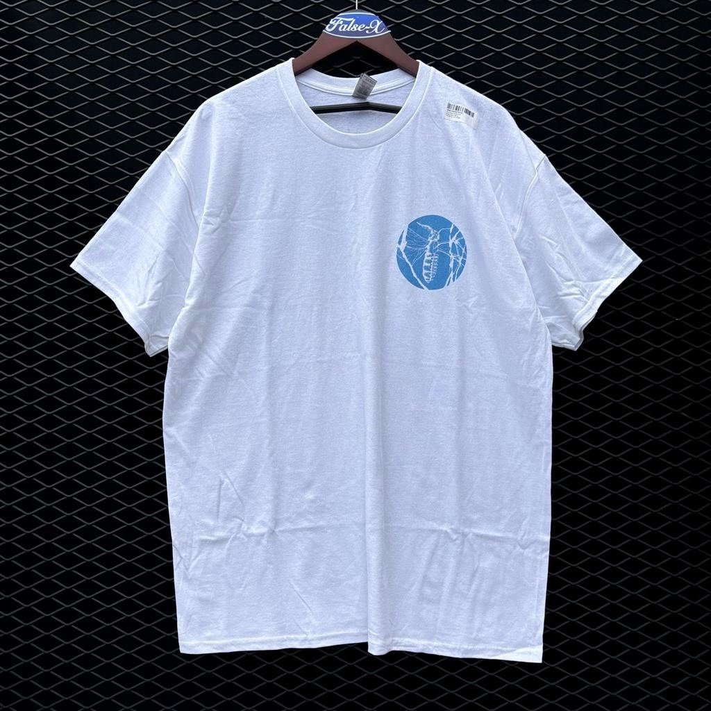 holding absence noble moth white