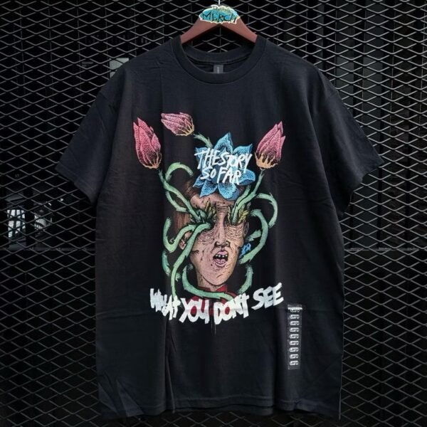 the story so far what you don't see